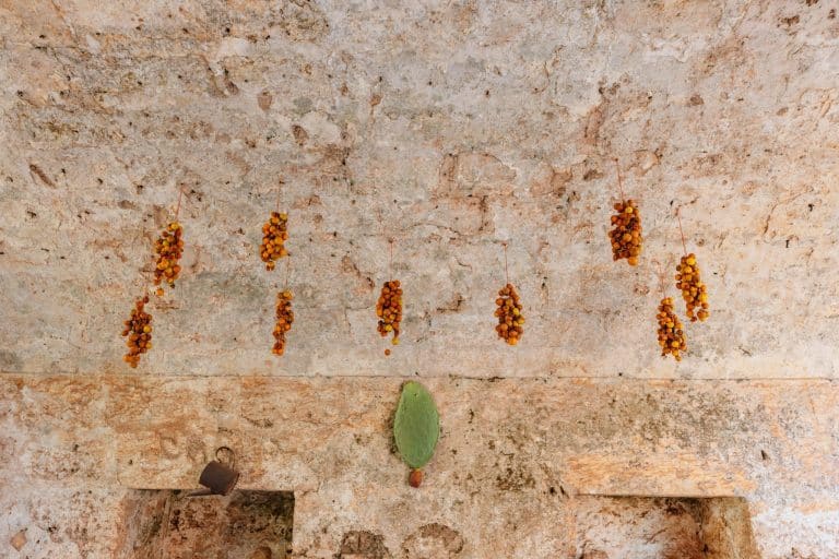 Food Preservation History: How Humans Kept Food Safe Before Refrigeration