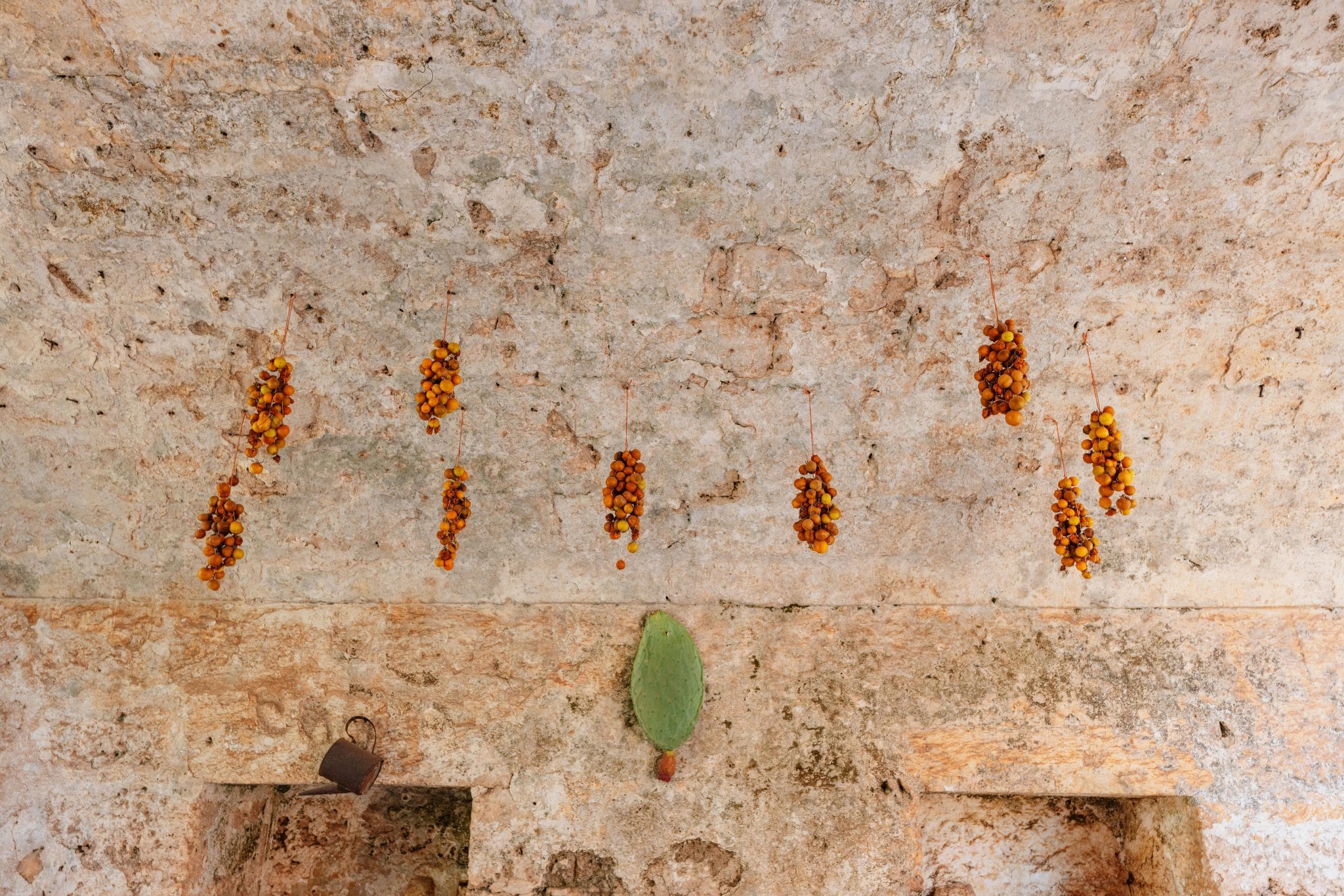 Food Preservation History: How Humans Kept Food Safe Before Refrigeration