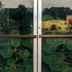 Empathy Through Literature: Building Compassionate Learners