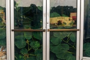 Empathy Through Literature: Building Compassionate Learners