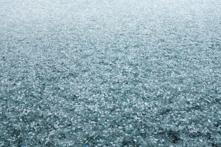 Expiration Management Avoiding Waste with Large Purchases