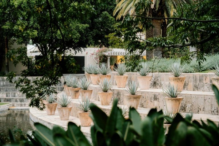 Sustainable Landscaping for Modern Yards