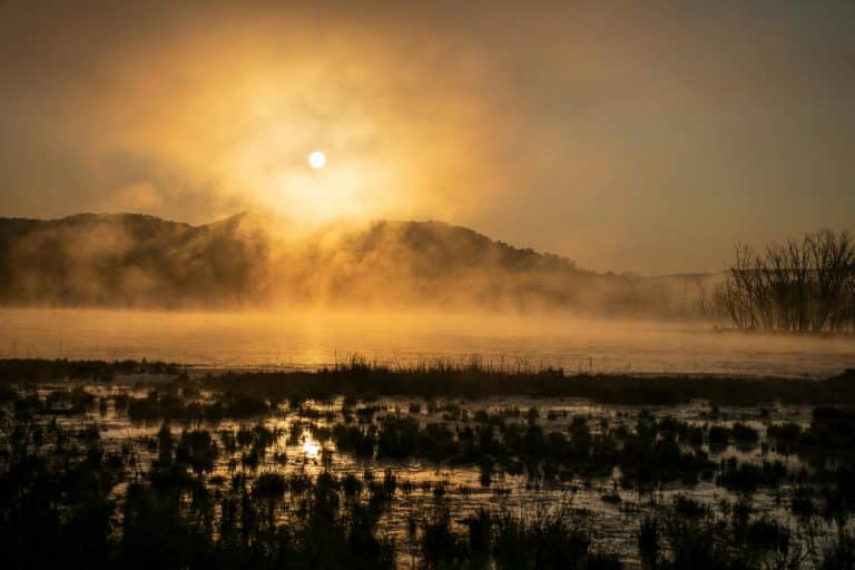 Alarm clocks simulating sunrise for gentle wake-ups