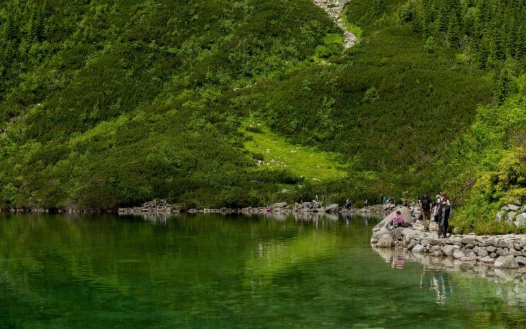 National Parks With Trails for Every Level