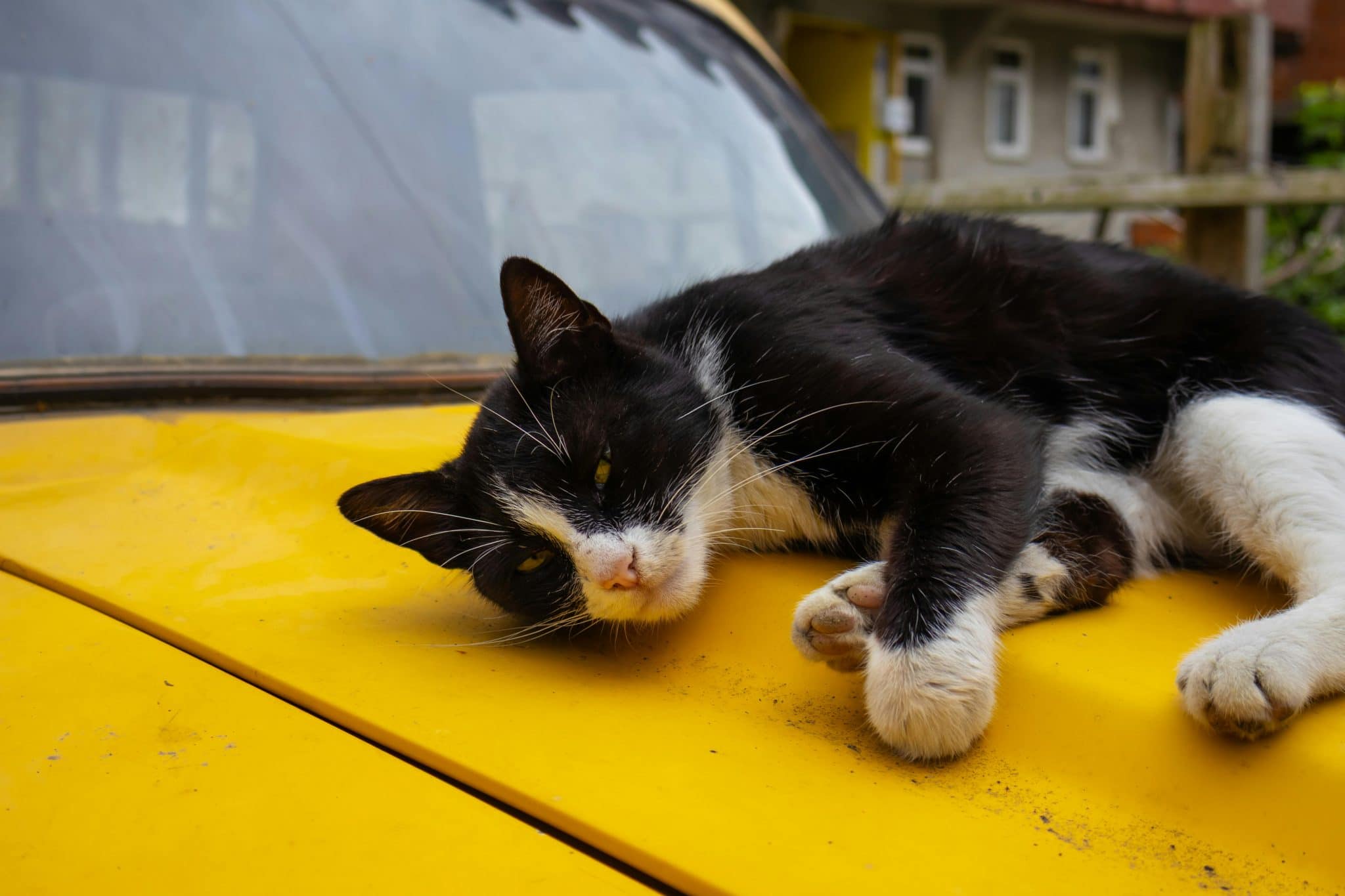 Car Hacking Threats and How to Prevent Them