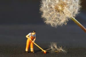 Humor in Teaching: Making Lessons Memorable