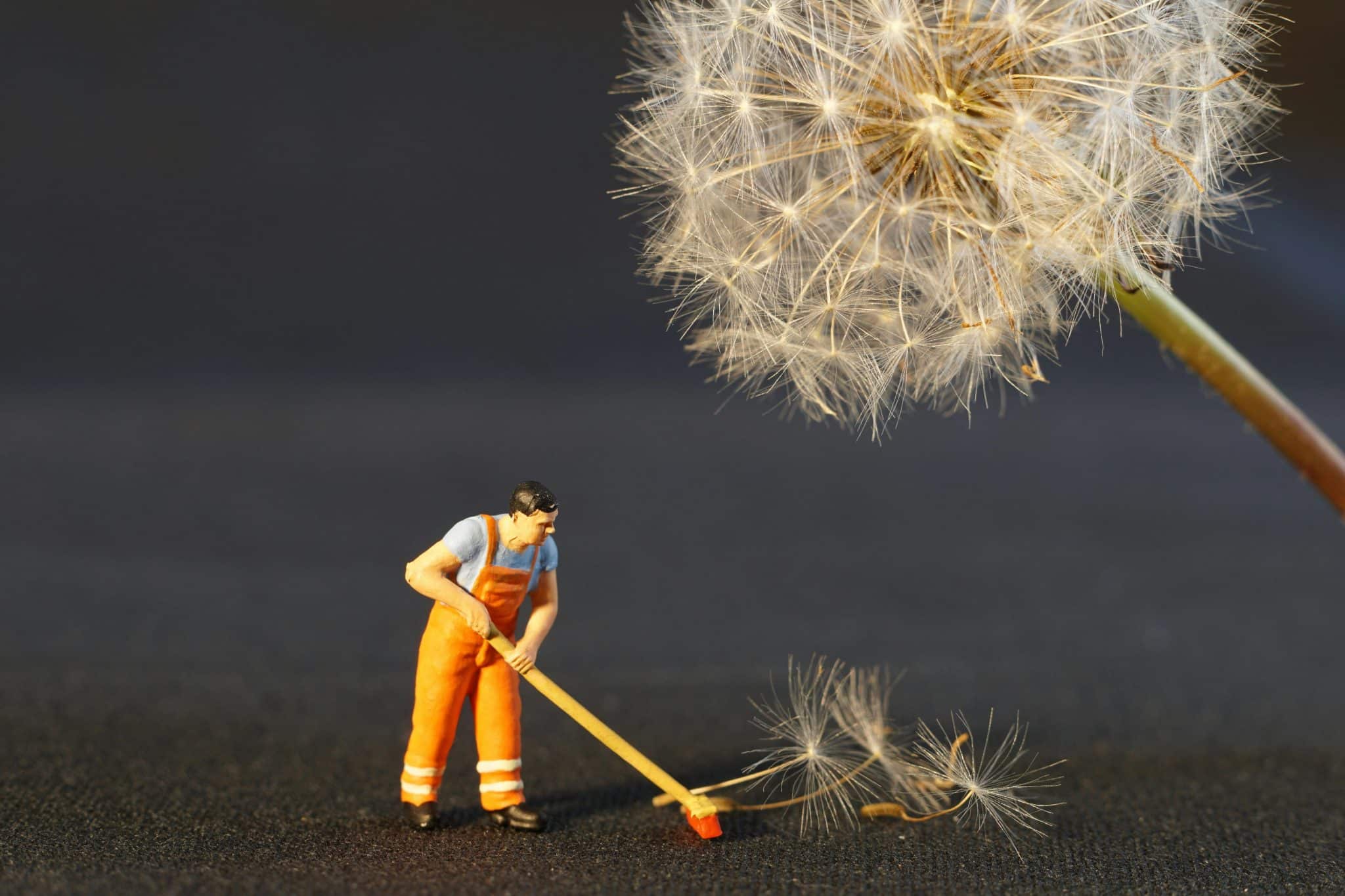 Humor in Teaching: Making Lessons Memorable