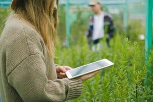 Eco-Friendly Resorts Leading the Way in Sustainability