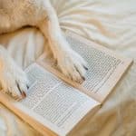 Smart Appliances Buyers Are Asking For