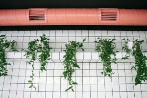 Air purifiers monitoring and improving indoor air