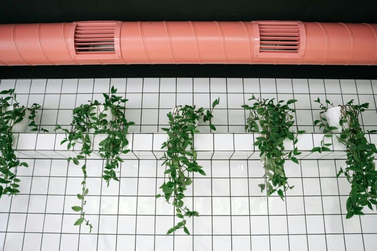 Air purifiers monitoring and improving indoor air