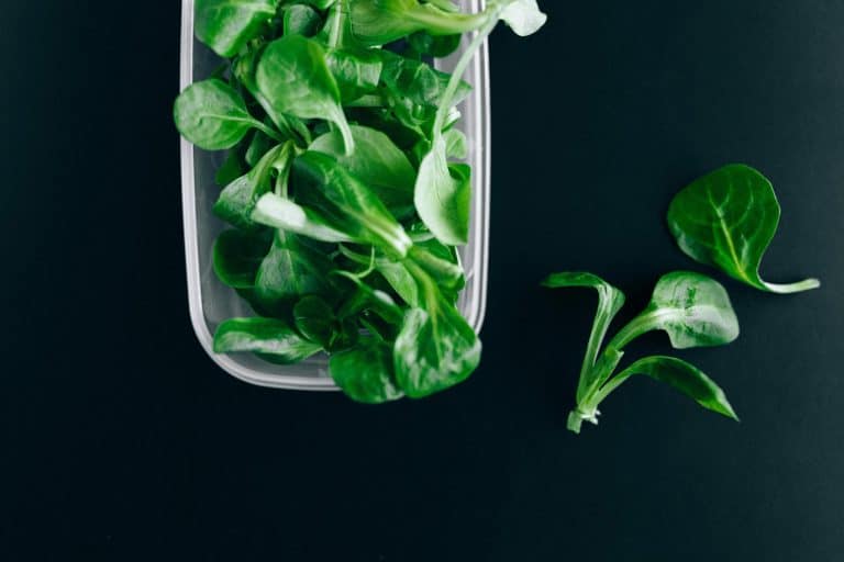 Kitchen Storage Containers: Choosing Right Materials for Food Safety