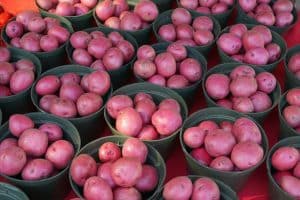 Produce Buying Fresh Local Food Seasonal Options