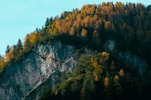 Scenic Drives Through Changing Landscapes