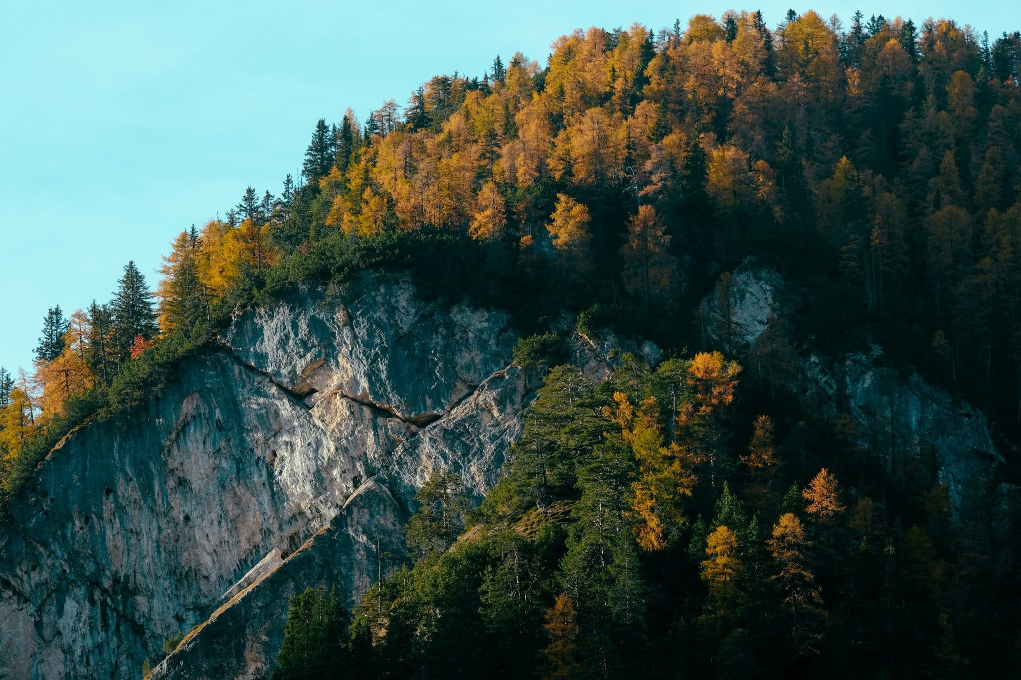 Scenic Drives Through Changing Landscapes