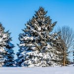 Seasonal Influence How Weather Affects Purchasing Patterns