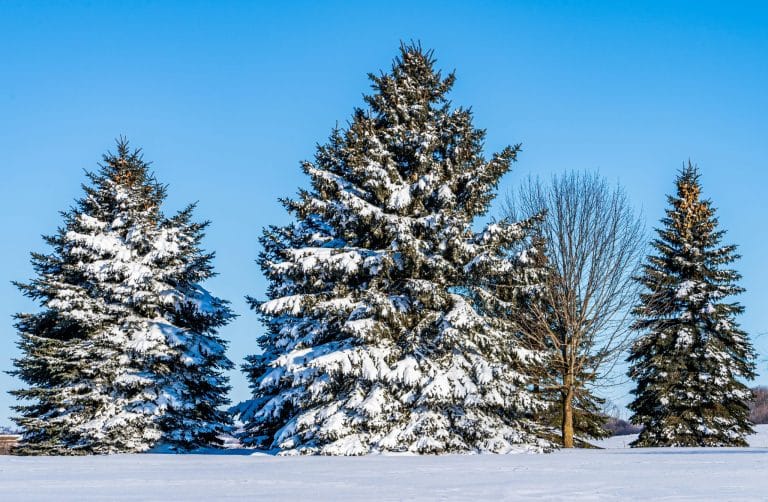 Seasonal Influence How Weather Affects Purchasing Patterns