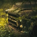 Automotive Designers Draw Inspiration from Nature