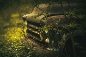 Automotive Designers Draw Inspiration from Nature