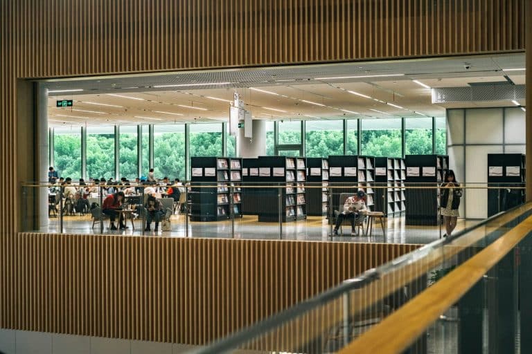 School Libraries: Adapting to the Digital Age