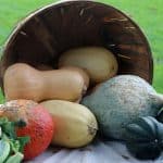 Food Waste Reduction Challenges: Community Efforts to Minimize Kitchen Waste