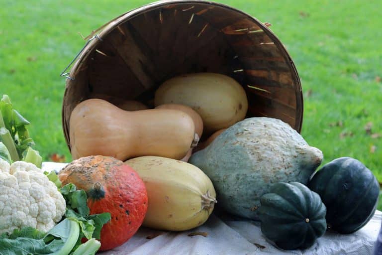 Food Waste Reduction Challenges: Community Efforts to Minimize Kitchen Waste